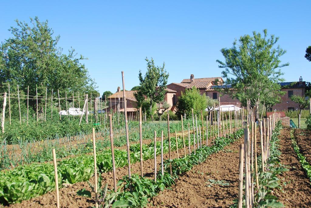 Agriturismo Le Torri Di Porsenna Petrignano Del Lago Екстериор снимка